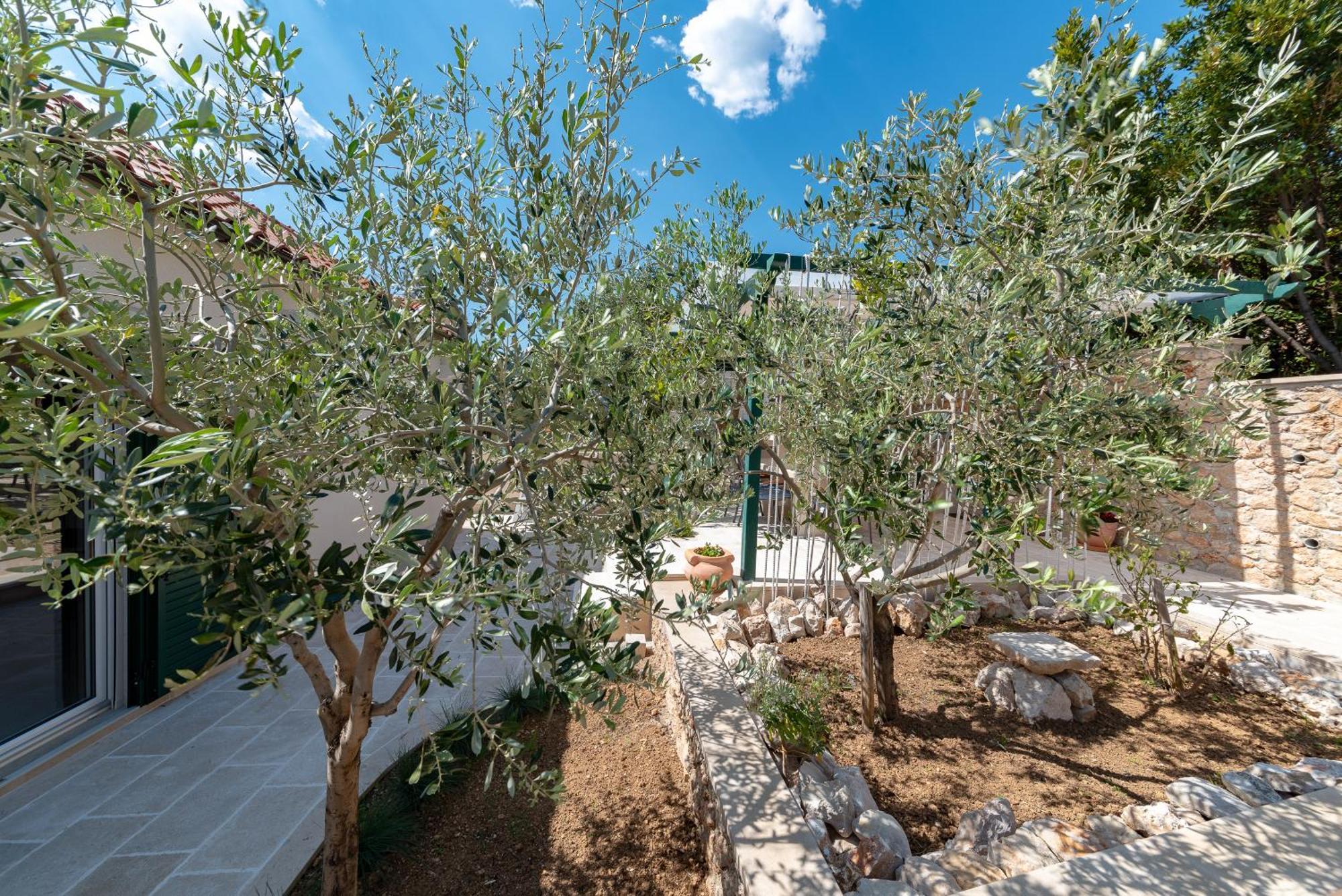Casa Ol'Bol - Modern Apartment With Seaview And Private Large Backyard Exterior photo